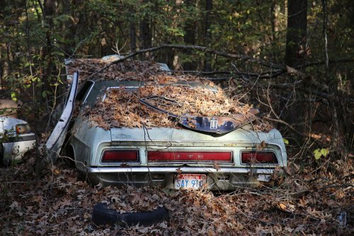 Las joyas del desguace de United Auto Sales, Arkadelphia, Arkansas