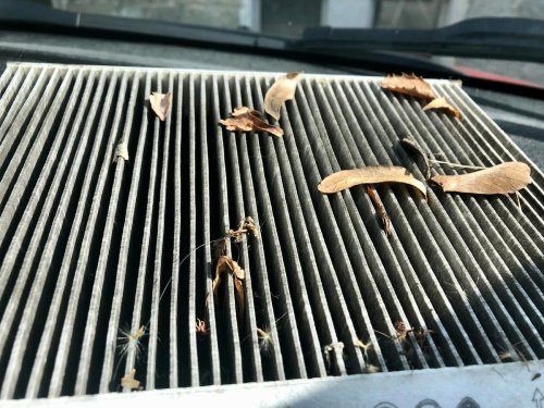 ¿Eres alérgico? Pues ojo a este elemento del coche que posiblemente no has renovado nunca