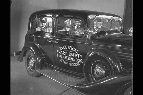 En imágenes: coches de policía estadounidenses del pasado y del presente
