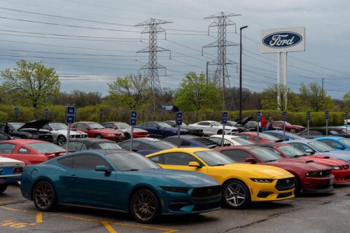 Mustang fans in Flat Rock to cheer National Mustang Day. See the pics