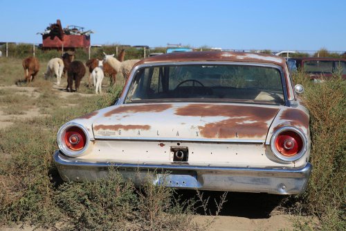 Joyas del desguace 41 – Woller Auto Parts, Lamar, Colorado #2