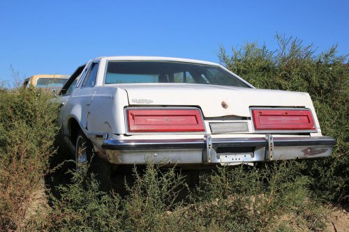 Joyas del desguace 41 – Woller Auto Parts, Lamar, Colorado #2