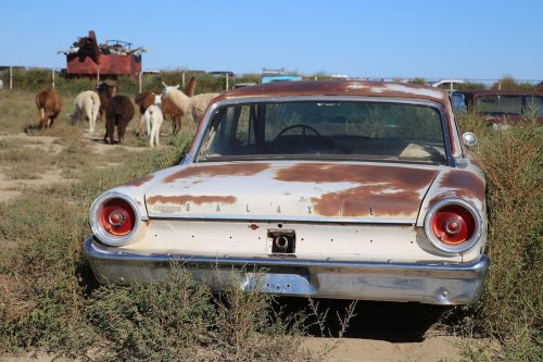 Junkyard gems 41 – Woller Auto Parts, Lamar, Colorado #2