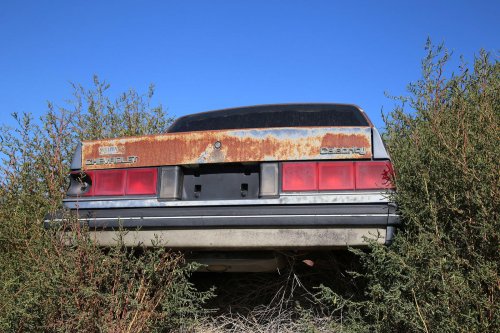 Junkyard gems 41 – Woller Auto Parts, Lamar, Colorado #2