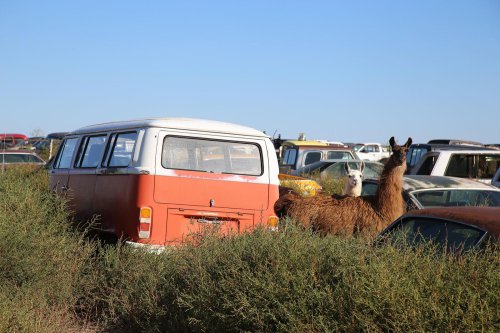 Junkyard gems 41 – Woller Auto Parts, Lamar, Colorado #2