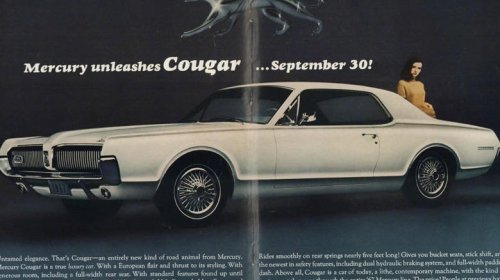 These are your favorite cars named after animals
