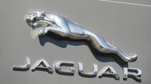 These are your favorite cars named after animals