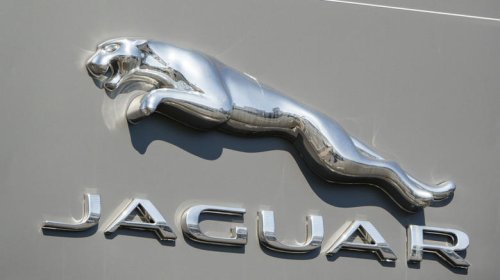 These are your favorite cars named after animals