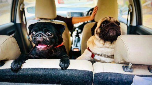 20 things you didn't know can influence your driving