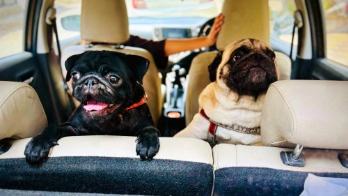20 things you didn't know can influence your driving