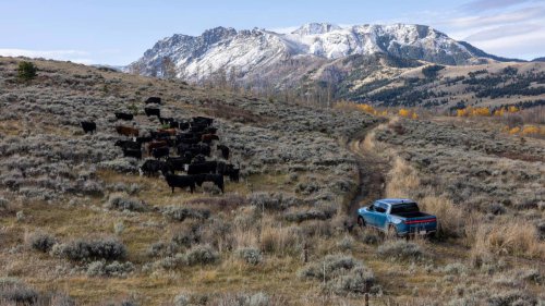 Rivian owners in Alaska may have to pay thousands for warranty repairs