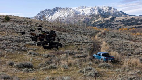 Rivian, Rivian owners in Alaska may have to pay thousands for warranty repairs