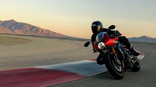The performance bike that feels like art in motion
