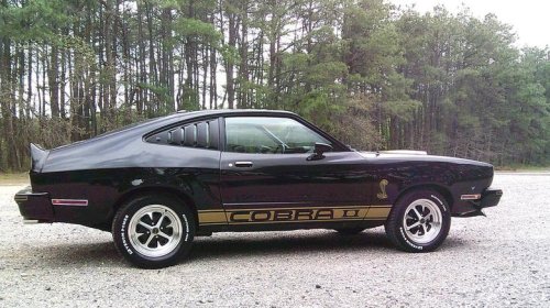 Ford, Ford Mustang, At $21,000, would you hate to fall in love with this 1978 Ford Mustang II Cobra II?