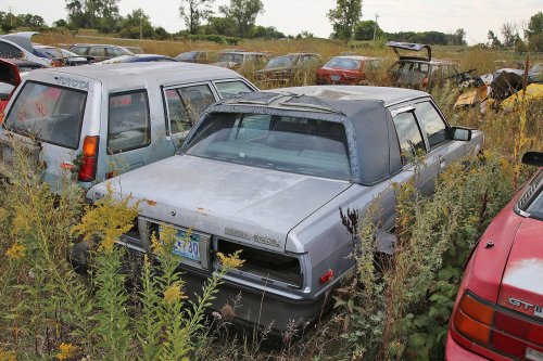 Our favourite junkyard discoveries at Rohners Auto Parts, Willmar, Minnesota
