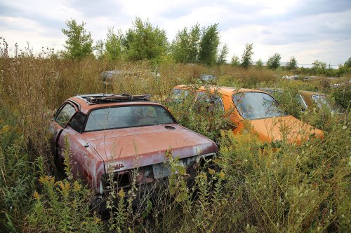Nuestros hallazgos favoritos en el desguace de Rohner's Auto Parts, Willmar, Minnesota