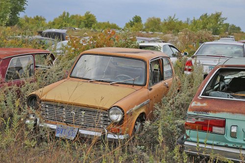 Nuestros hallazgos favoritos en el desguace de Rohner's Auto Parts, Willmar, Minnesota