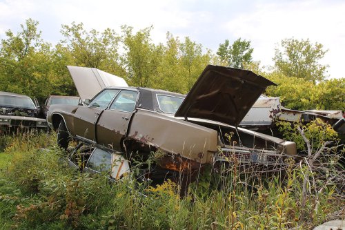 Nuestros hallazgos favoritos en el desguace de Rohner's Auto Parts, Willmar, Minnesota