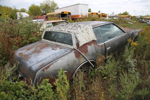 Nuestros hallazgos favoritos en el desguace de Rohner's Auto Parts, Willmar, Minnesota