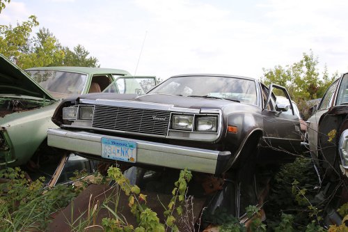Our favourite junkyard discoveries at Rohners Auto Parts, Willmar, Minnesota