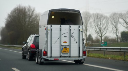 The differences between trailer tires and regular passenger car tires