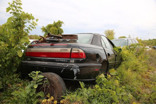 Our favourite junkyard discoveries at Rohners Auto Parts, Willmar, Minnesota