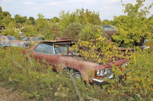 Our favourite junkyard discoveries at Rohners Auto Parts, Willmar, Minnesota
