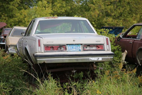 Our favourite junkyard discoveries at Rohners Auto Parts, Willmar, Minnesota