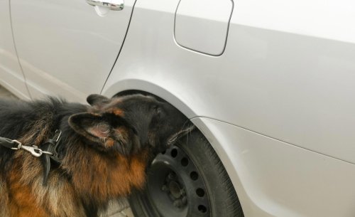 El compartimento del coche que puede hacer que la policía revise tu vehículo durante más de una hora