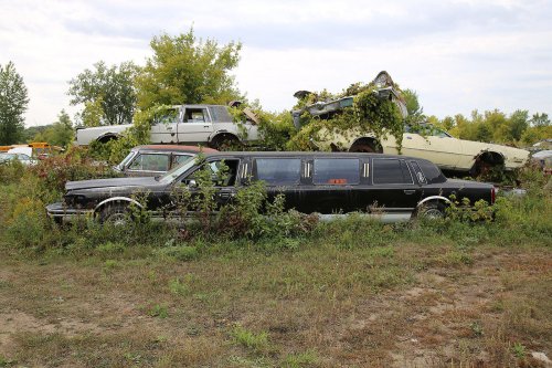 Our favourite junkyard discoveries at Rohners Auto Parts, Willmar, Minnesota