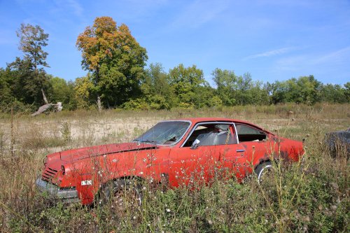 Tesoros vintage de French Lake Auto Parts, Annandale, Minnesota