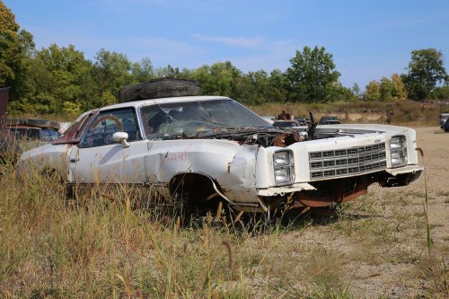 Junkyard treasures from French Lake Auto Parts, Annandale, Minnesota