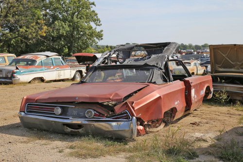 Junkyard treasures from French Lake Auto Parts, Annandale, Minnesota
