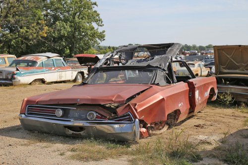 Junkyard treasures from French Lake Auto Parts, Annandale, Minnesota