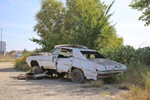 Junkyard treasures from French Lake Auto Parts, Annandale, Minnesota