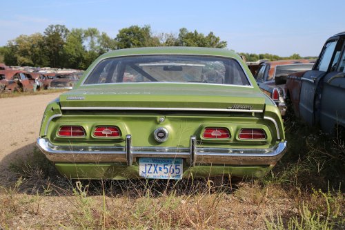 Junkyard treasures from French Lake Auto Parts, Annandale, Minnesota