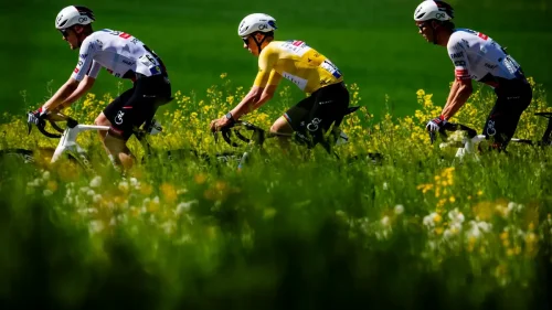 La peste porcina amenaza la segunda etapa del Tour de Francia en Cataluña