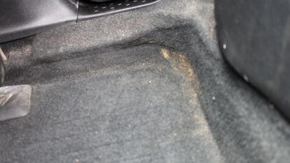 Chemical Guys Lightning Fast Stain Extractor and Spinner review