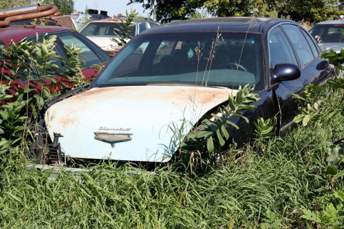 Nuestros mejores hallazgos en el desguace de Johnson’s Salvage en Tea, Dakota del Sur