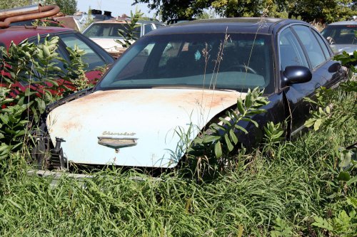 Nuestros mejores hallazgos en el desguace de Johnson’s Salvage en Tea, Dakota del Sur