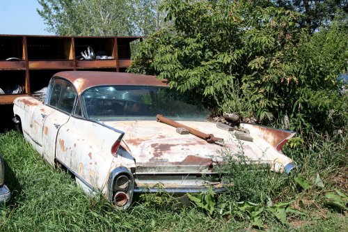 Our best junkyard finds at Johnson’s Salvage in Tea, South Dakota