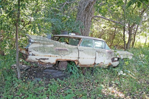 Our best junkyard finds at Johnson’s Salvage in Tea, South Dakota