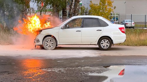 What's the wildest thing you've witnessed while driving?