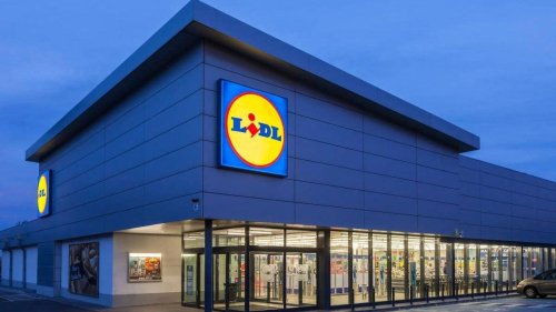 Lidl tiene la herramienta de jardinería que arrasa esta primavera por menos de 35 euros y que acaba con los bordes mal cortados