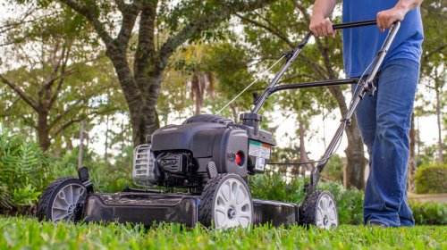 This is the worst lawn mower Consumer Reports says you can buy
