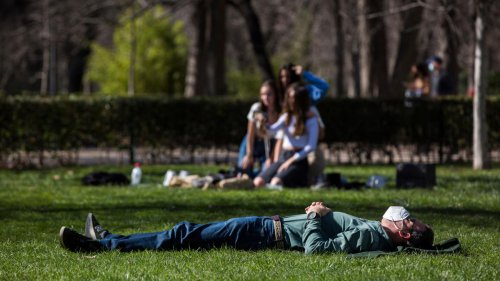 Alérgicos en alerta en toda la Comunidad de Madrid: Nivel alto de polen de gramíneas