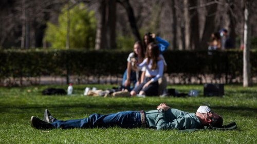 Alérgicos en alerta en toda la Comunidad de Madrid: Nivel alto de polen de gramíneas