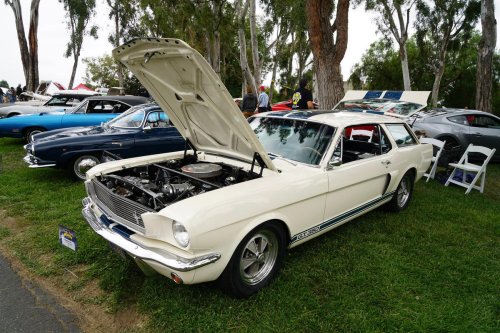 See the Benedict Castle Concours in 33 1/3 photos