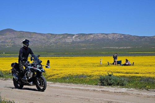 Are motorcycles coming back? Report says sales are up