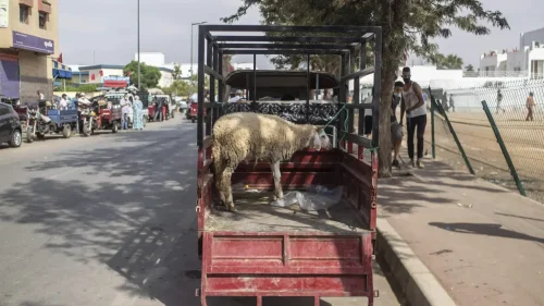 Regreso al pasado: conducir en Marruecos
